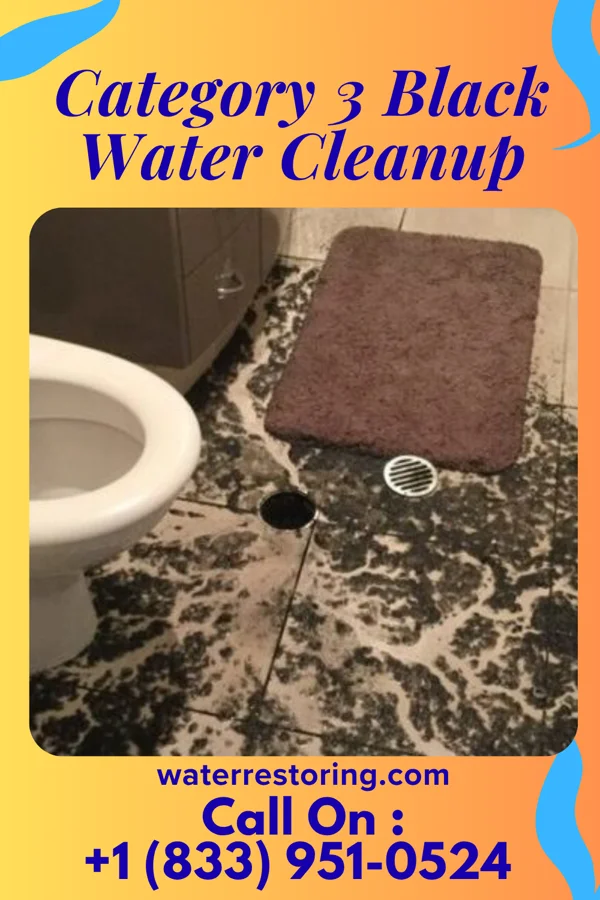 Category 3 Black Water Cleanup in Fair Haven, NJ