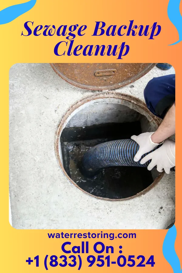 Sewage Backup Cleanup in Fair Haven, NJ