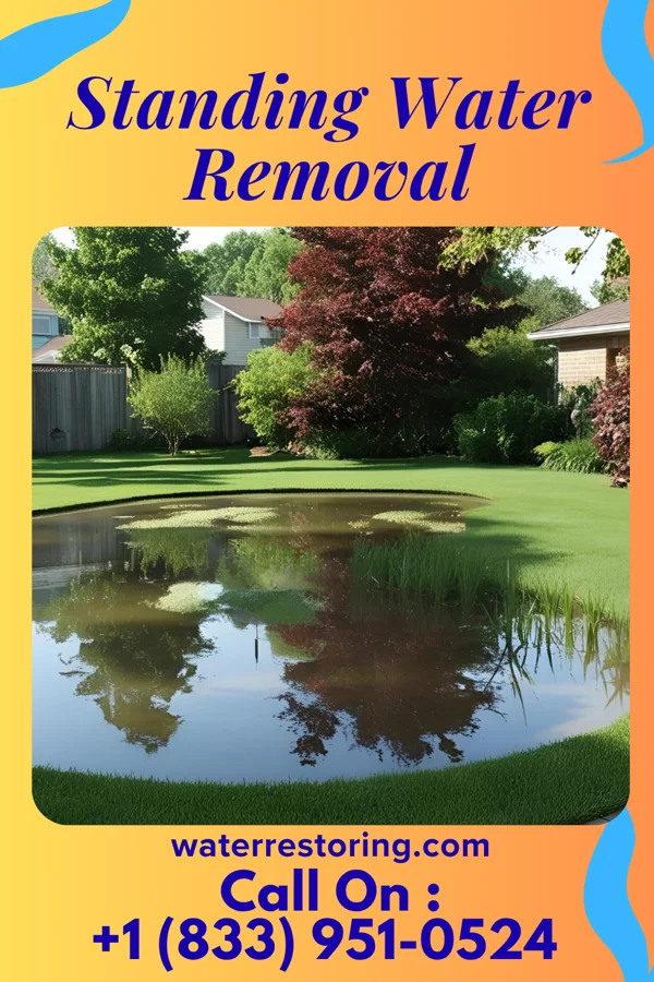 Standing Water Removal in Fair Haven, NJ